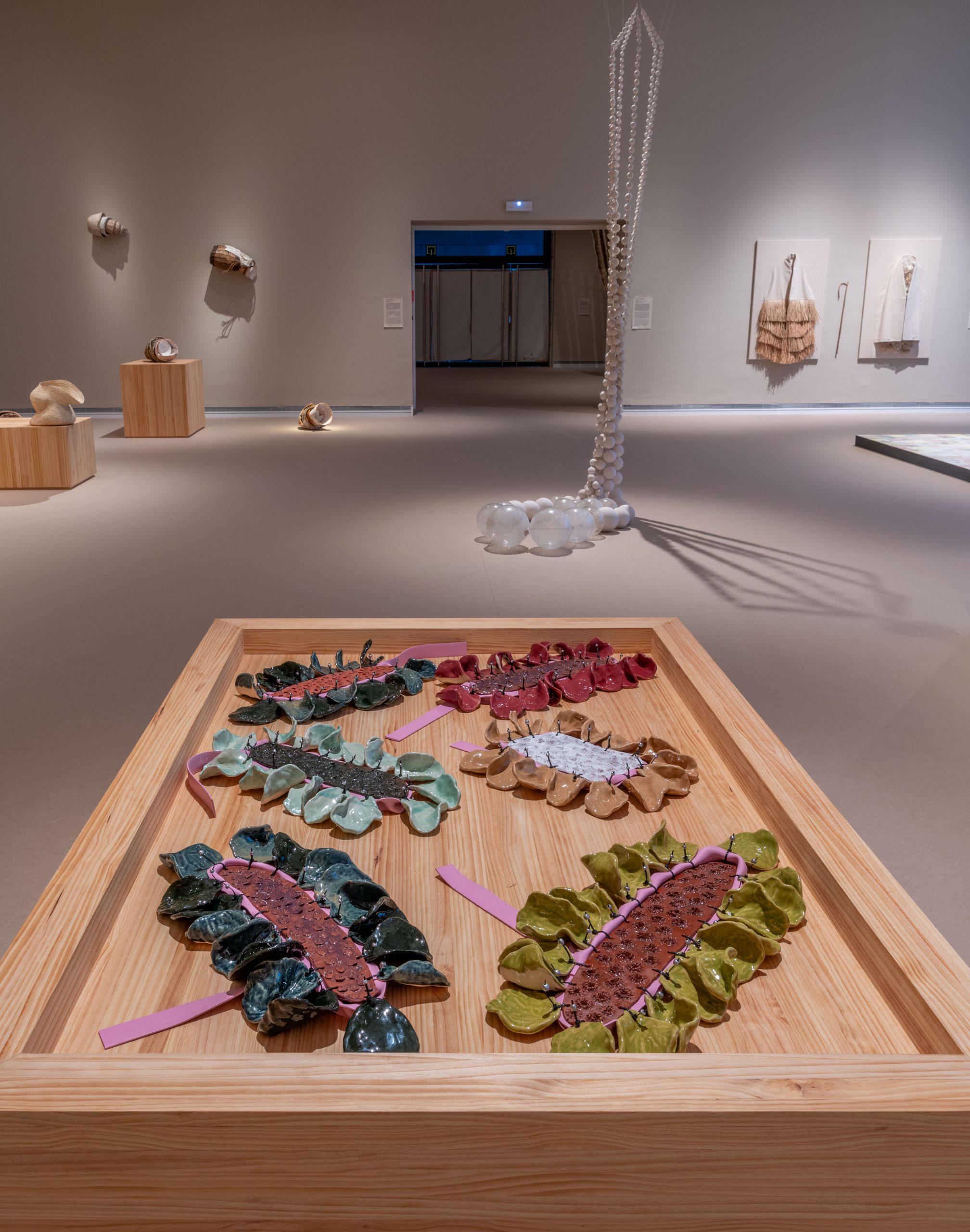 260217_SEC_A media lumbre_015