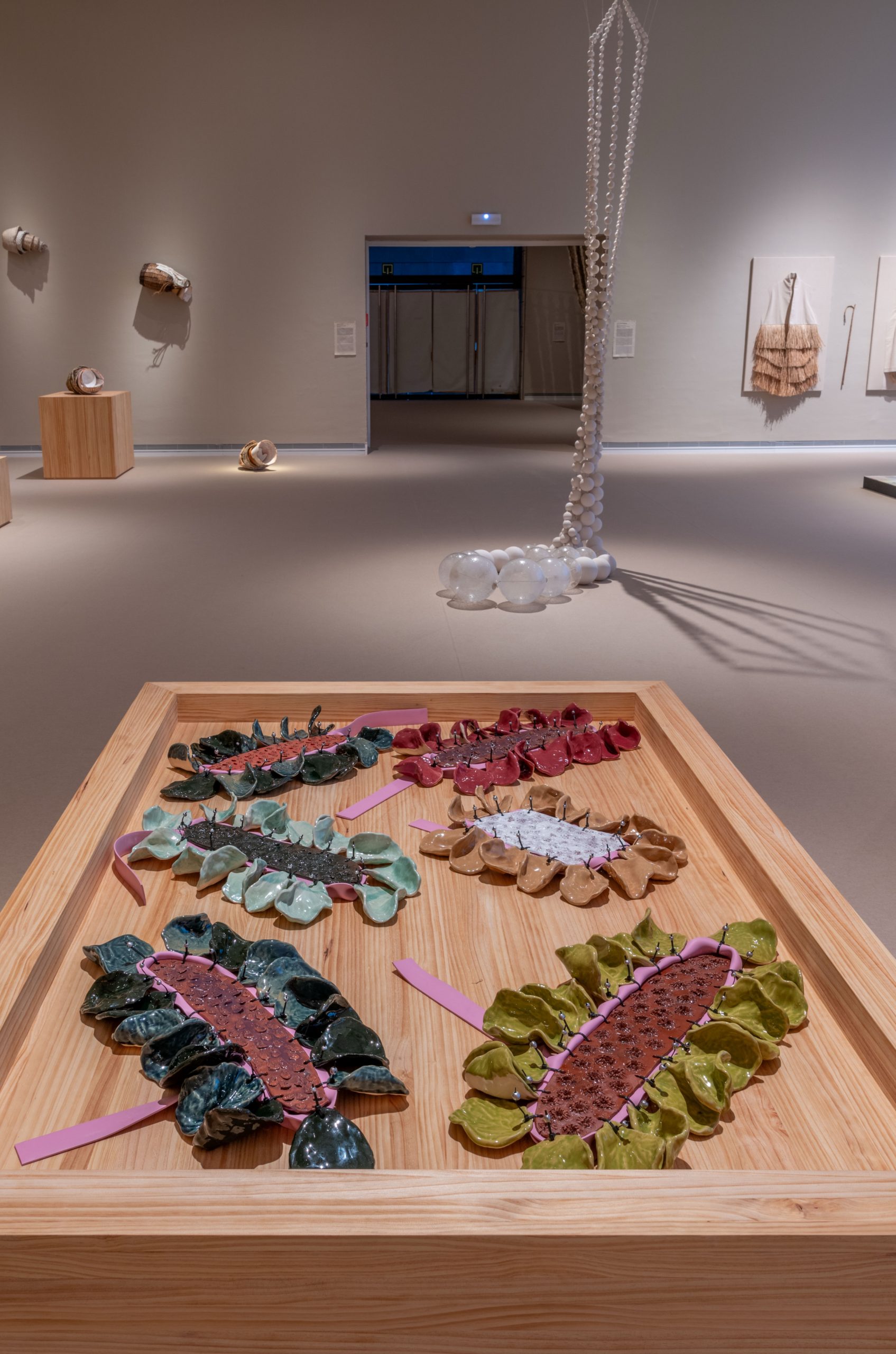 260217_SEC_A_media_lumbre_016 3