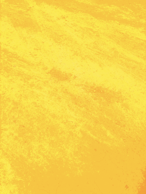 Después de la memoria II