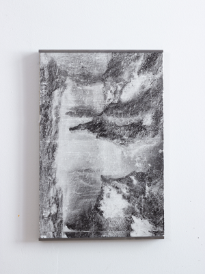 Lo que crece entre los restos IV