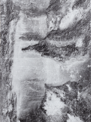 Lo que crece entre los restos IV