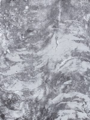 Lo que crece entre los restos II